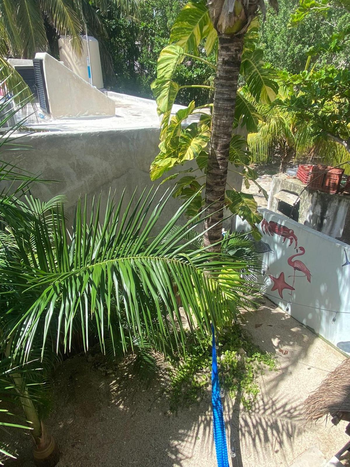 Hotel Pelecanus Suites Holbox Exteriér fotografie