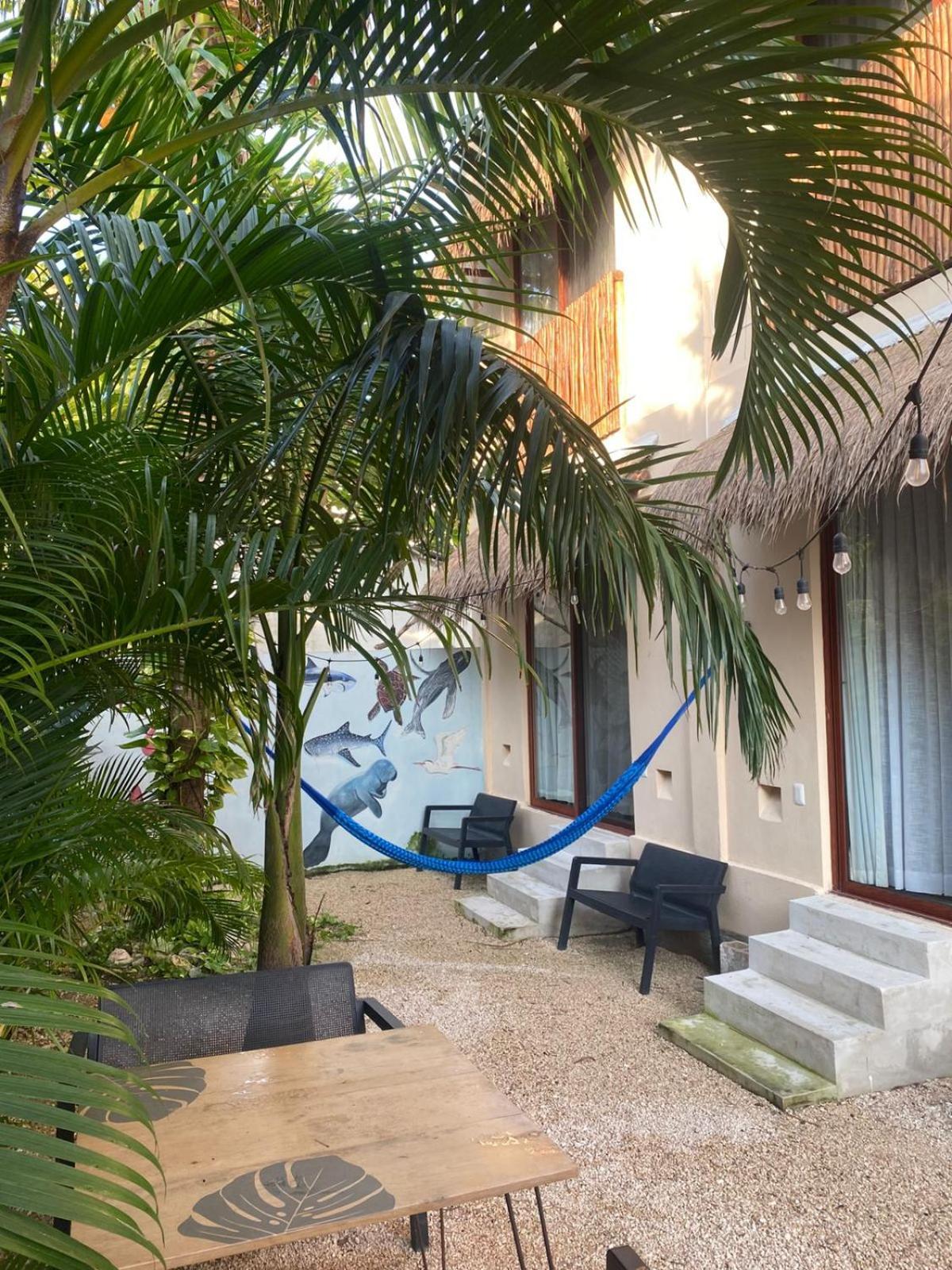 Hotel Pelecanus Suites Holbox Exteriér fotografie