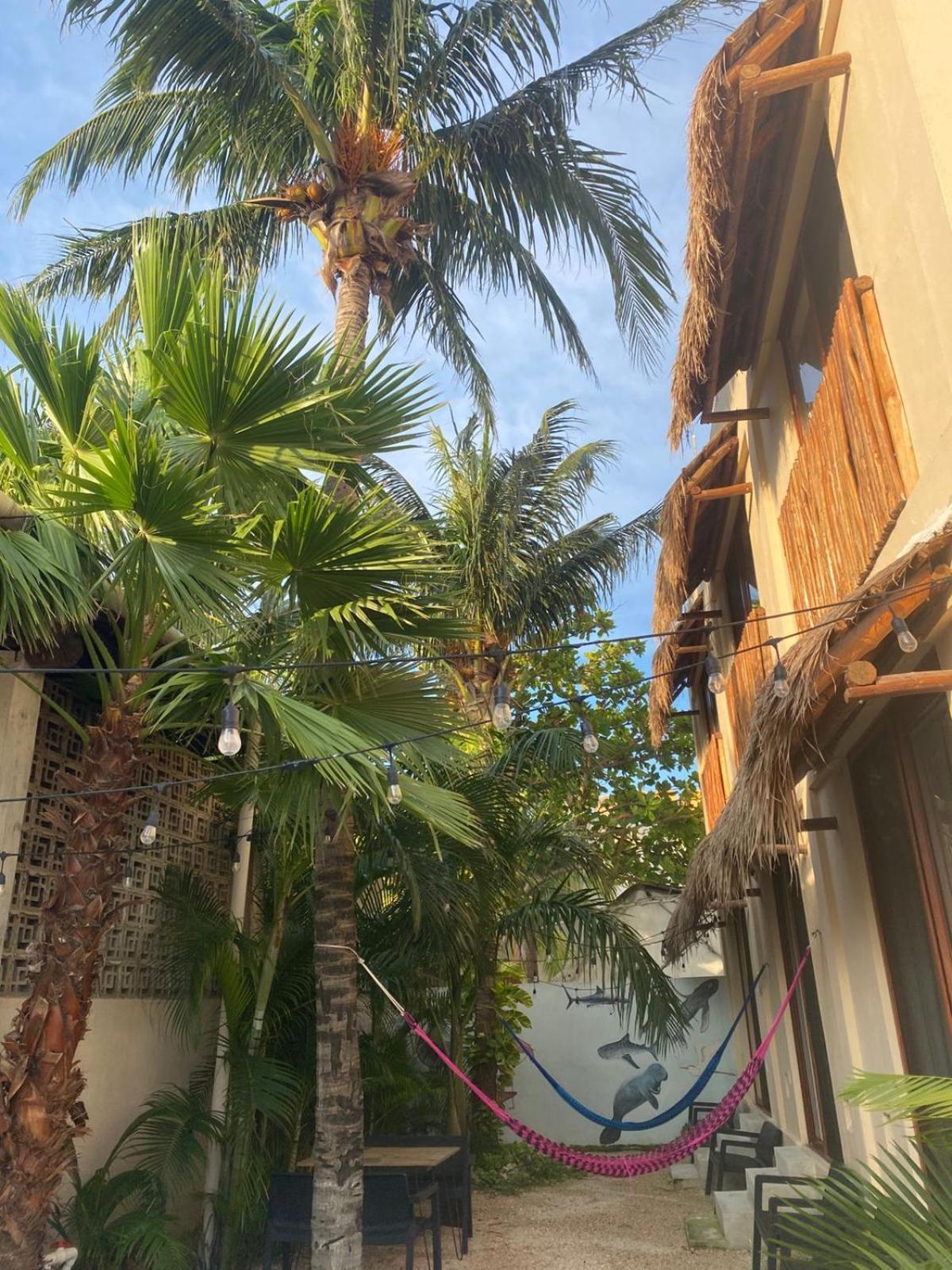 Hotel Pelecanus Suites Holbox Exteriér fotografie